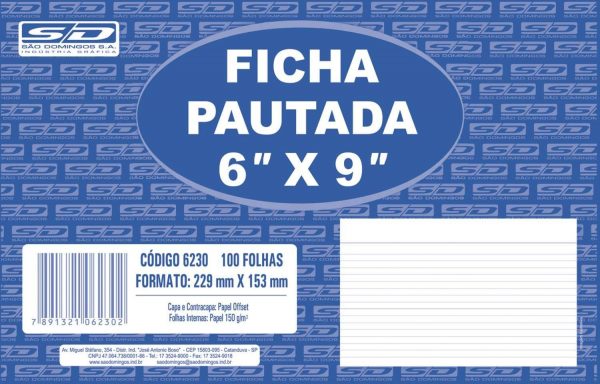 FICHAS PAUTADAS 6X9 15,2X23,0CM PCT/100 SAO DOMINGOS